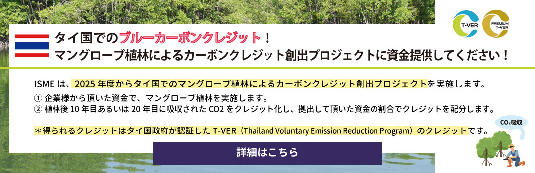 Thai-carbon-j.jpg