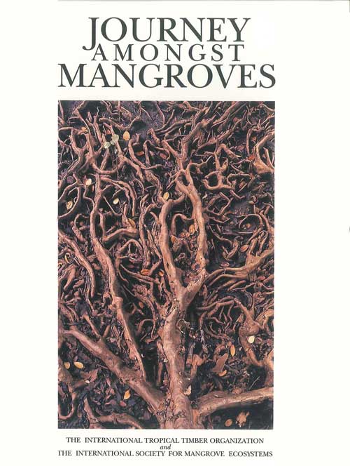 Journey Amongst Mangroves