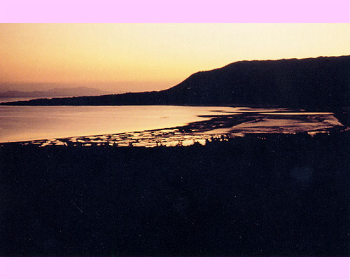 The morning glow and sea of mangroves